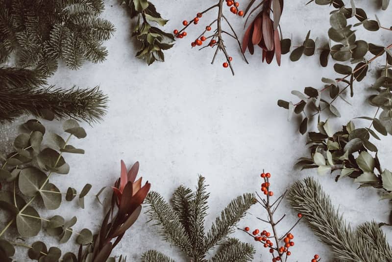 Holiday Events Across Illinois